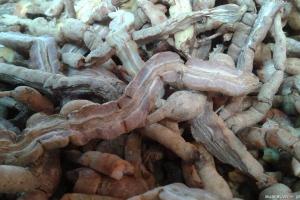 CÁCH CHỌN BA KÍCH NGÂM RƯỢU CÁCH CHỌN BA KÍCH NGÂM RƯỢU