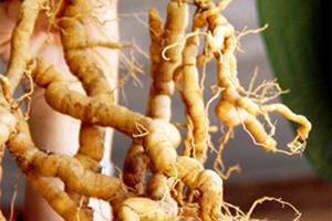 5 TÁC DỤNG CỦA BA KÍCH THEO Y HỌC HIỆN ĐẠI 5 TÁC DỤNG CỦA BA KÍCH THEO Y HỌC HIỆN ĐẠI