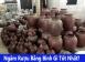 Tại sao không nên ngâm rượu bằng bình nhựa Tại sao không nên ngâm rượu bằng bình nhựa