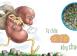 CÁCH DÙNG CHUỐI HỘT ĐỂ CHỮA TRỊ SỎI THẬN CÁCH DÙNG CHUỐI HỘT ĐỂ CHỮA TRỊ SỎI THẬN