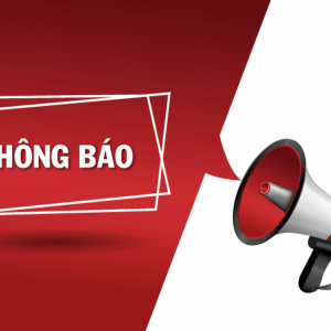 Thông báo hàng mới về CỦ BA KÍCH TÍM Quảng Ninh - củ siêu to lõi tím tại Hà Nội