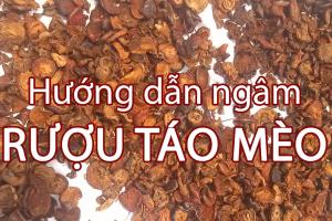 Mua táo mèo khô ở đâu thì chất lượng? Mua táo mèo khô ở đâu thì chất lượng?