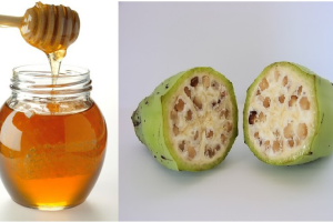 Chữa đau dạ dày cực hiệu nghiệm với chuối hột, mật ong Chữa đau dạ dày cực hiệu nghiệm với chuối hột, mật ong